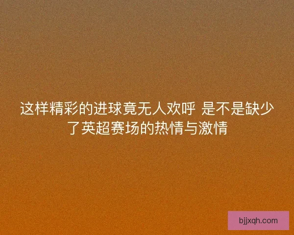 这样精彩的进球竟无人欢呼 是不是缺少了英超赛场的热情与激情