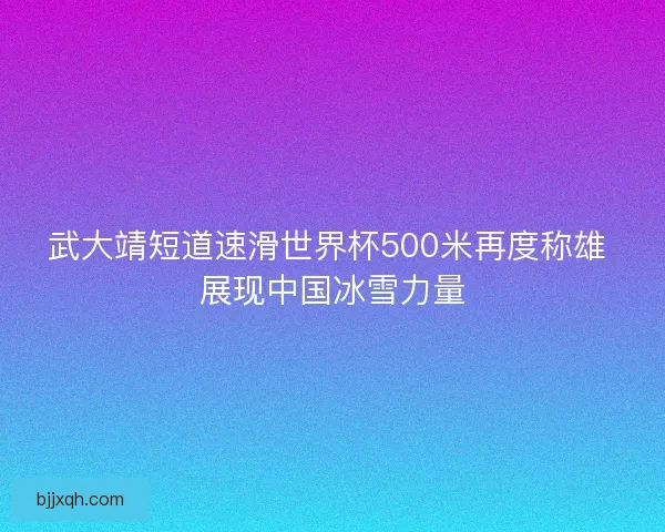 武大靖短道速滑世界杯500米再度称雄 展现中国冰雪力量